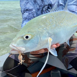 Bluefin Trevally on the flats