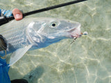 Bonefish on spin tackle