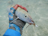 Shrimp Flig - Size 6